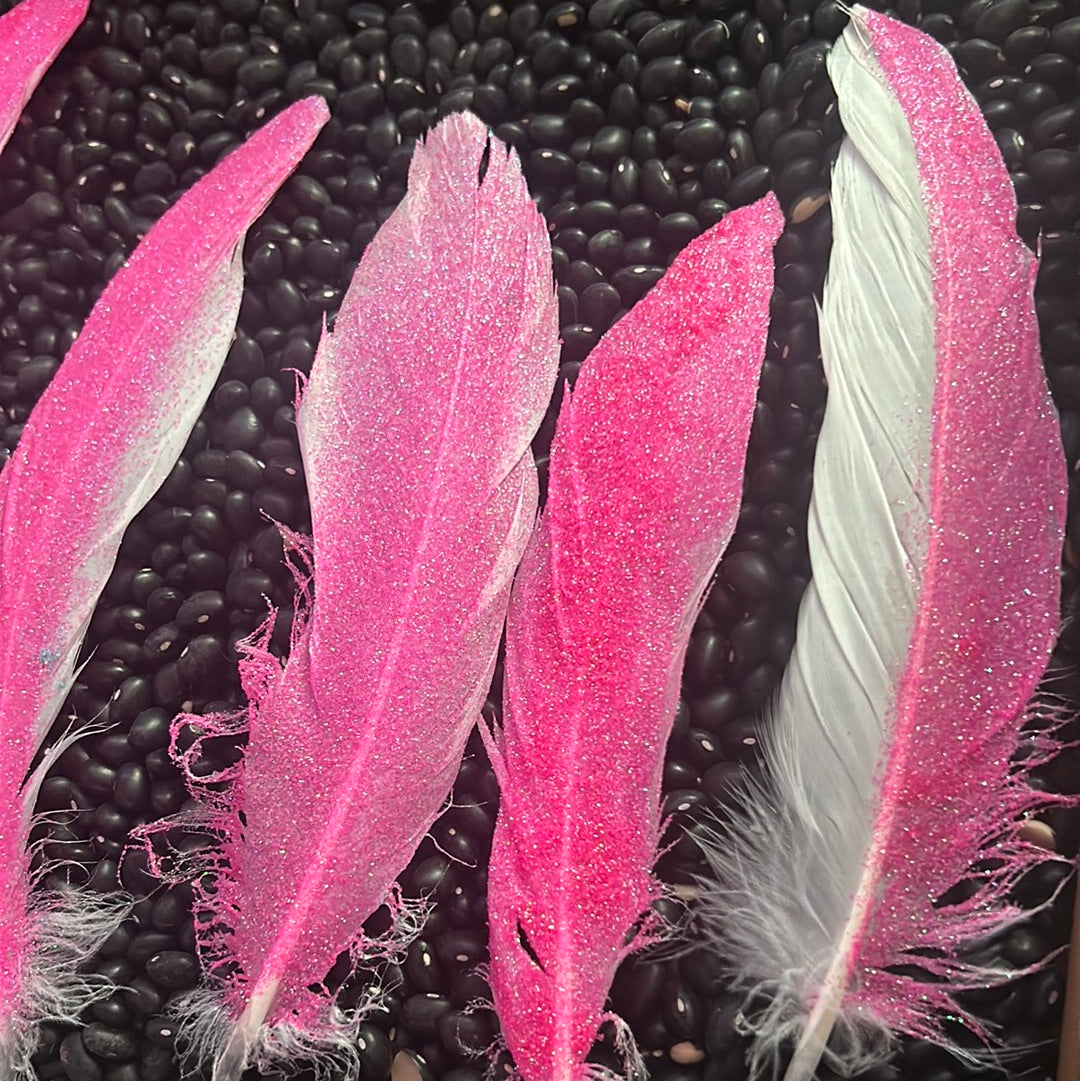 Glitter Feather