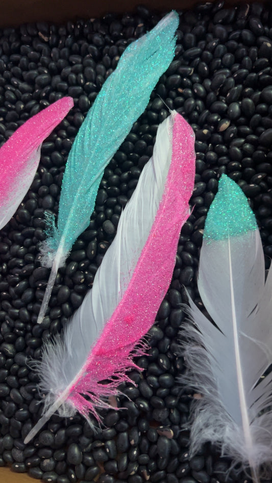 Glitter Feathers